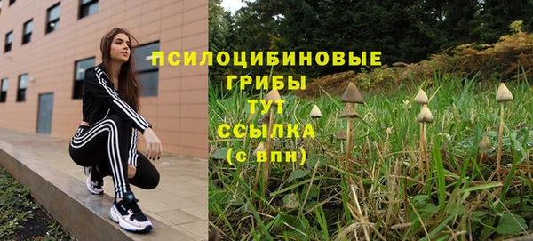 дживик Аркадак