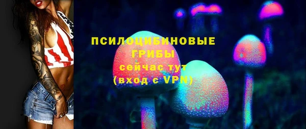 дживик Аркадак