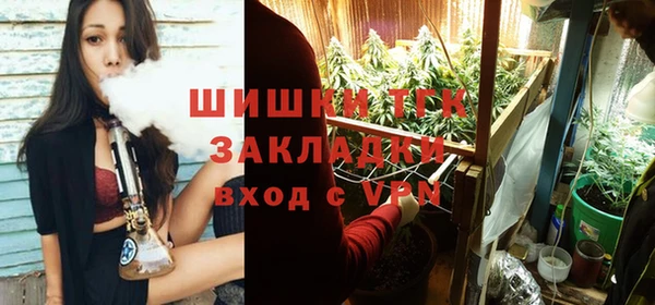 дживик Аркадак