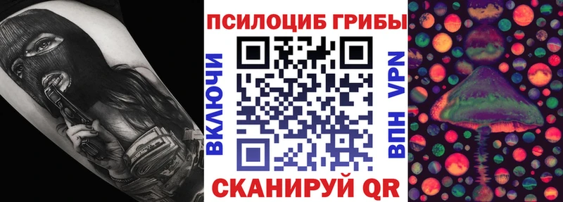 купить наркоту blacksprut ССЫЛКА Галлюциногенные грибы MAGIC MUSHROOMS Ладушкин